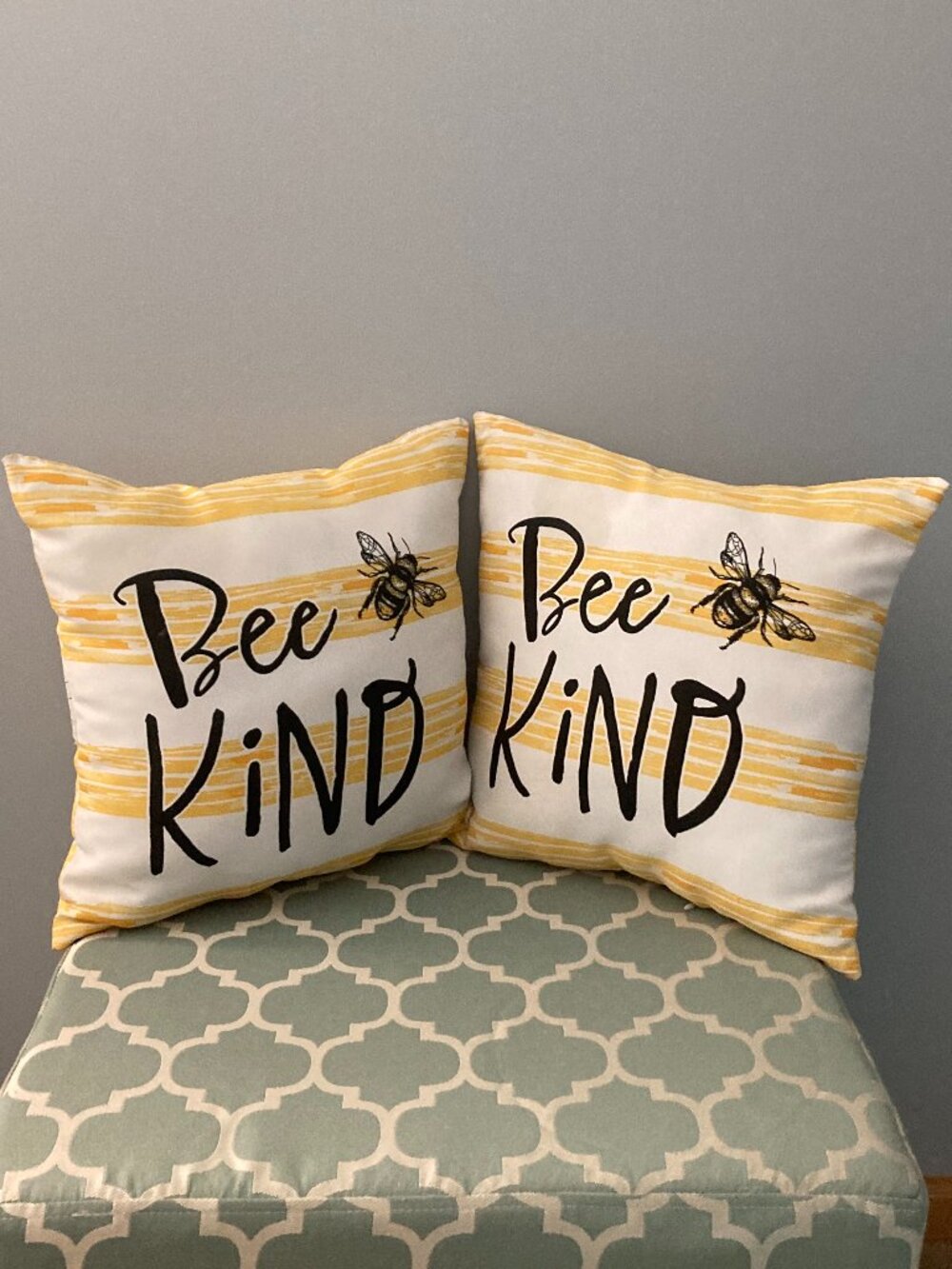 Decorative Pillows Set of 2 - Bee Kind